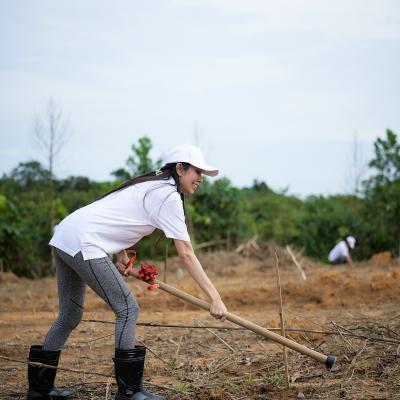 12 Aramijaya Tree Planting Day Day1 Preview 023 12 Aramijaya Tree Planting Day Day1 Preview 023