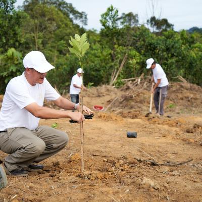 14 Aramijaya Tree Planting Day Day1 Preview 021 14 Aramijaya Tree Planting Day Day1 Preview 021