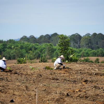 3 Aramijaya Tree Planting Day Day1 Preview 032 3 Aramijaya Tree Planting Day Day1 Preview 032