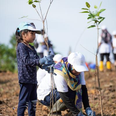 21 Aramijaya Tree Planting Day Day2 Preview 011 21 Aramijaya Tree Planting Day Day2 Preview 011